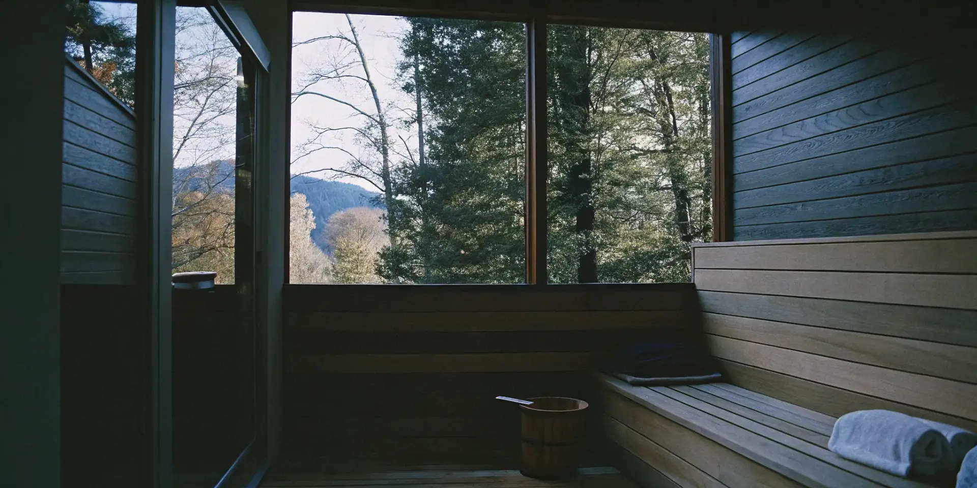 The best indoor sauna for NC homes, with wooden benches and a large window overlooking a forest.